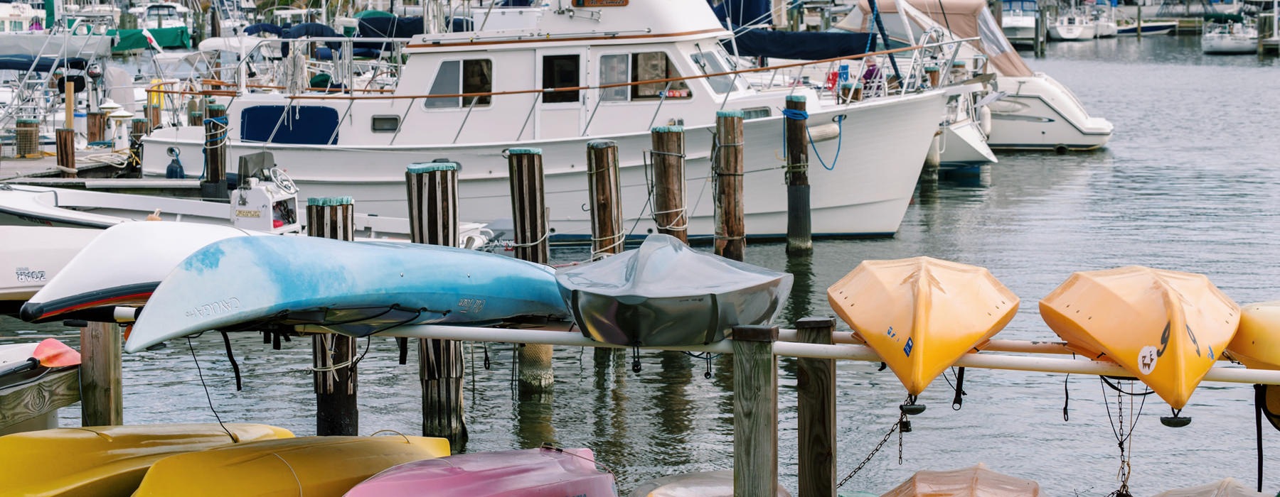 Marina with kayaks and sailing boats.